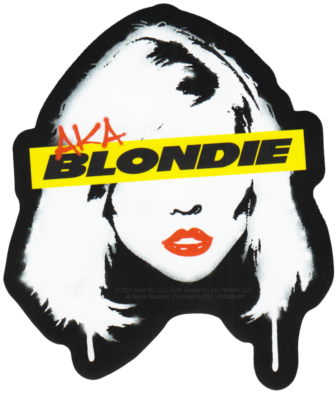Sticker - AKA Blondie - 5" Punk Rock New Wave Music Band 80s