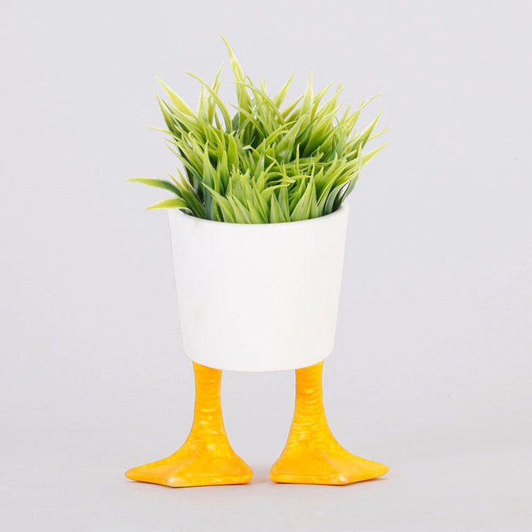 Small Duck Feet Planter