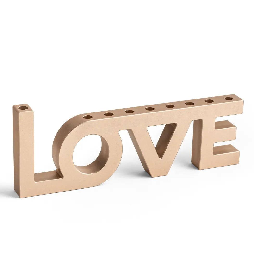 Love Aluminum Hanukkiah