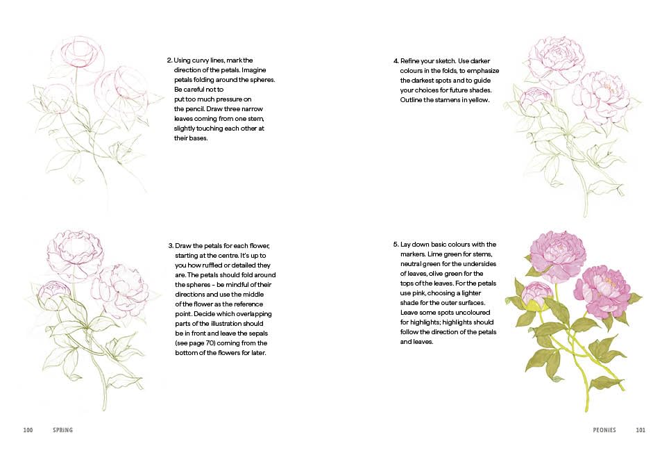 Rewild Your Drawing: How to draw botanicals