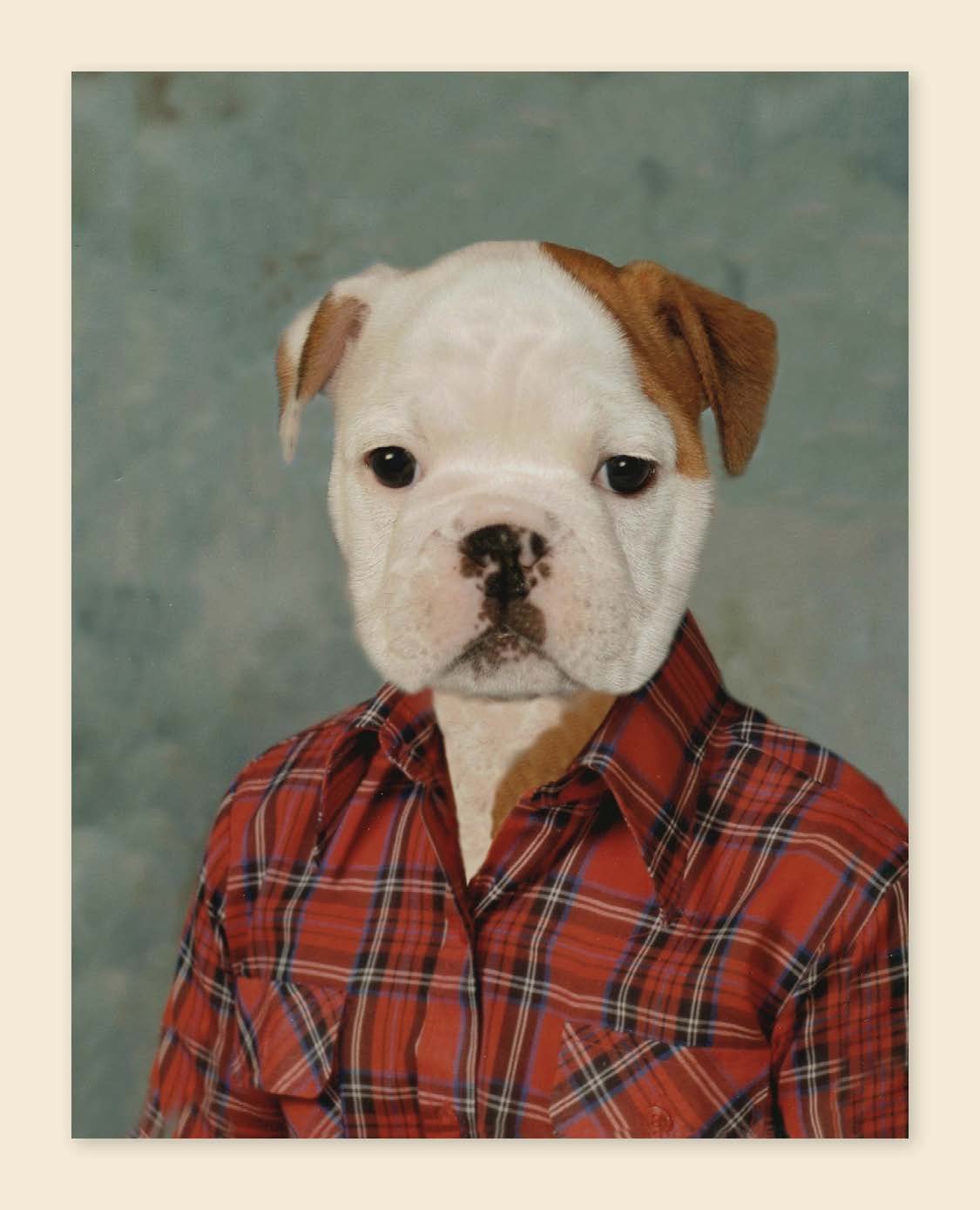 Picture Day Notecards