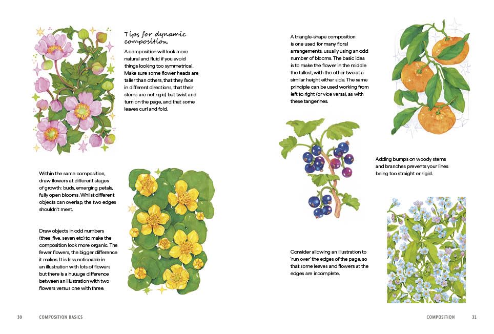 Rewild Your Drawing: How to draw botanicals