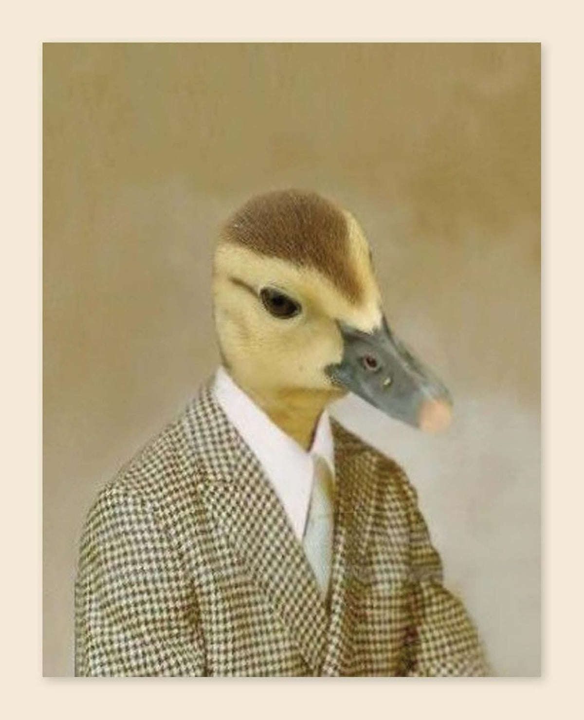 Picture Day Notecards
