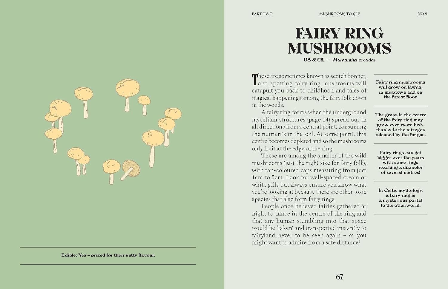 Mushrooms: A Guide for the Curious