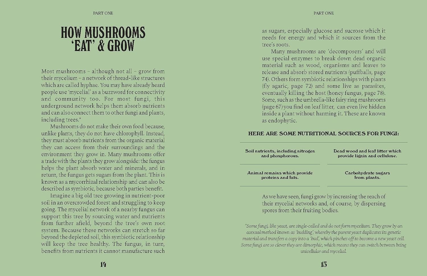 Mushrooms: A Guide for the Curious