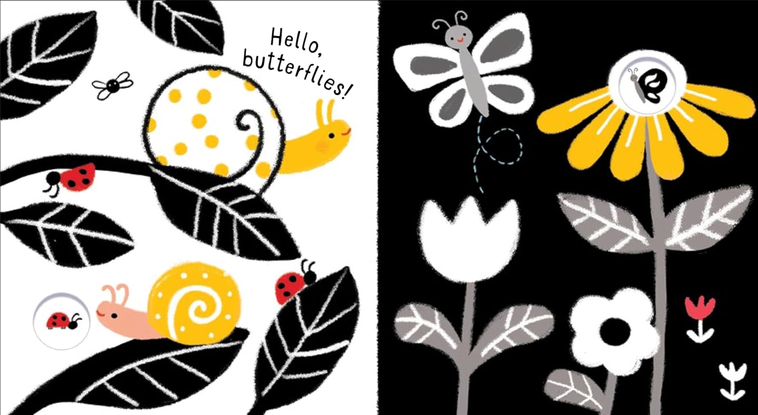 Baby's Black and White Books: Outdoors