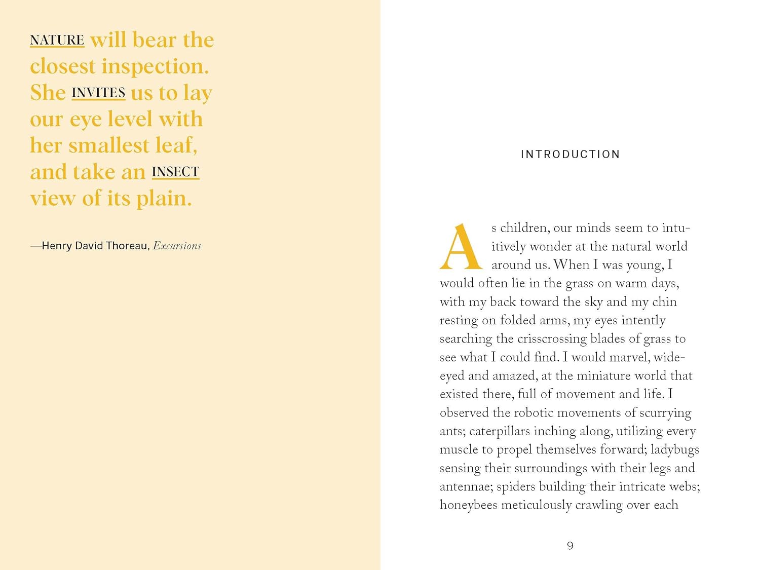 Pocket Nature: Beekeeping: Explore the Marvelous World of Honeybees