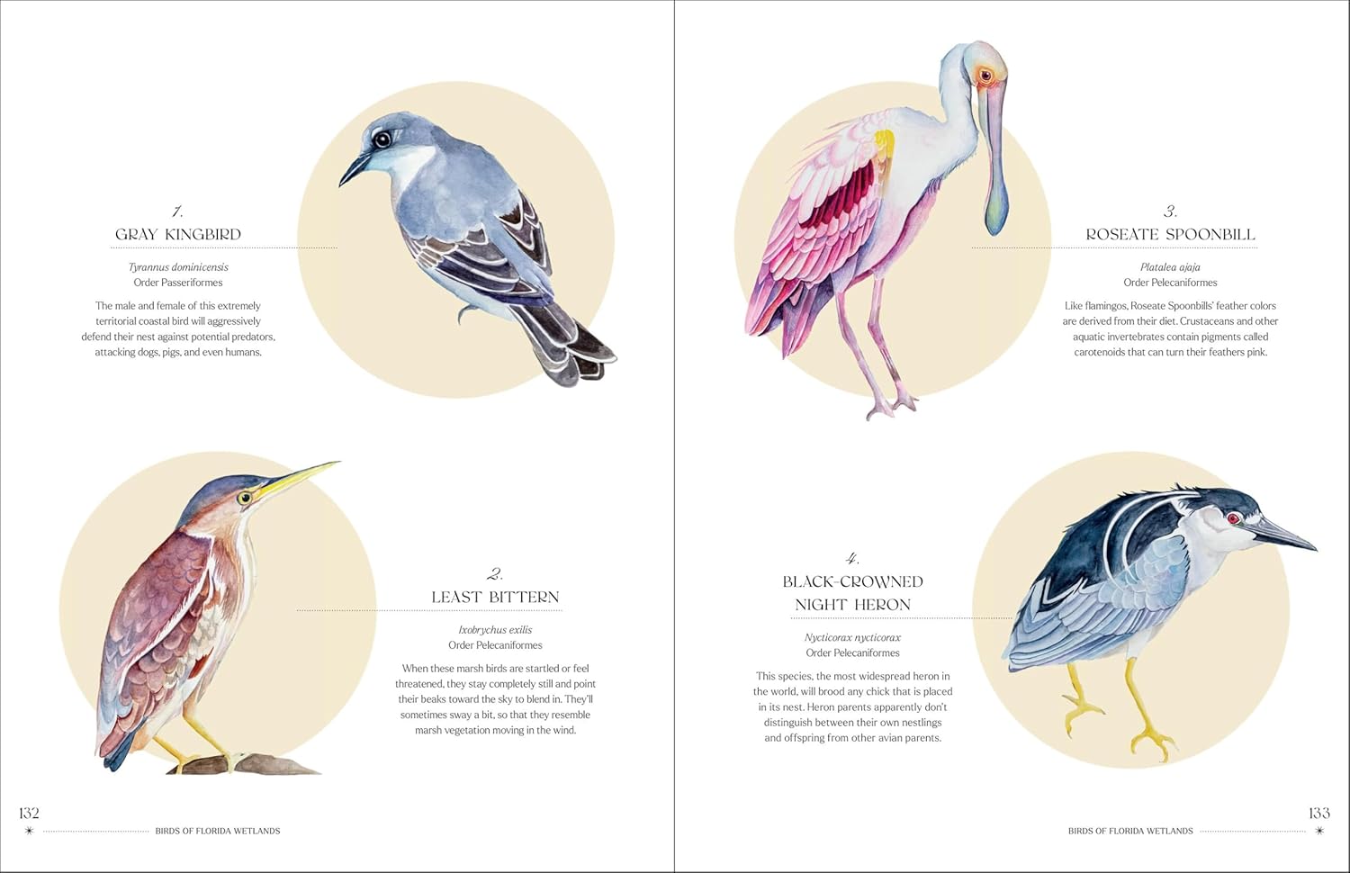 The Illuminated Book of Birds