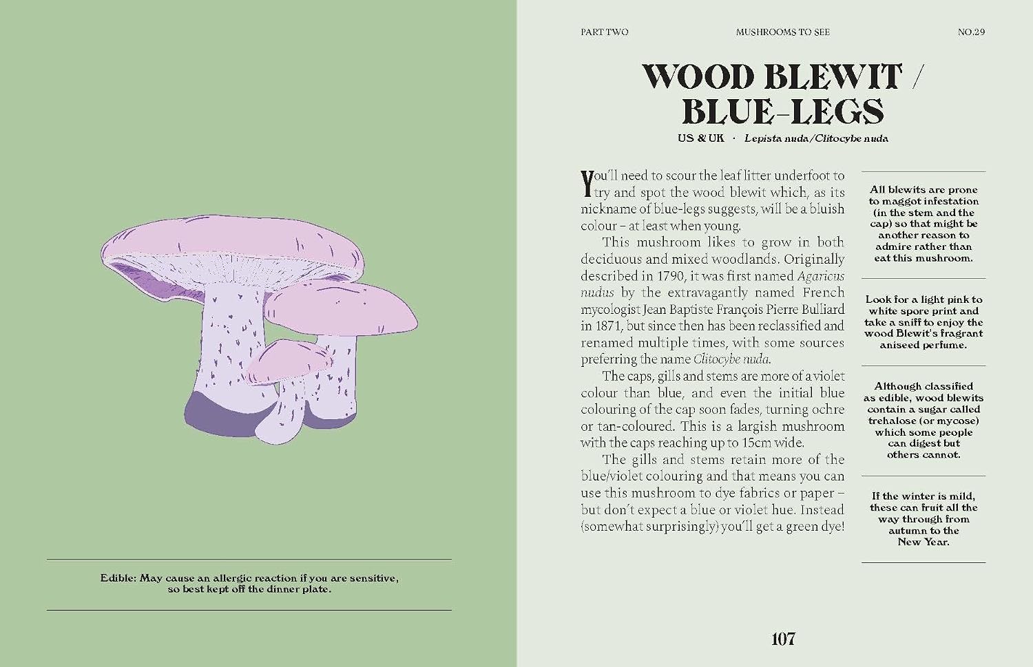 Mushrooms: A Guide for the Curious