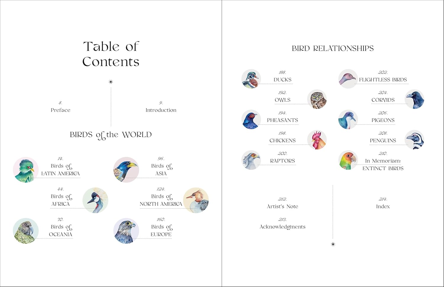 The Illuminated Book of Birds