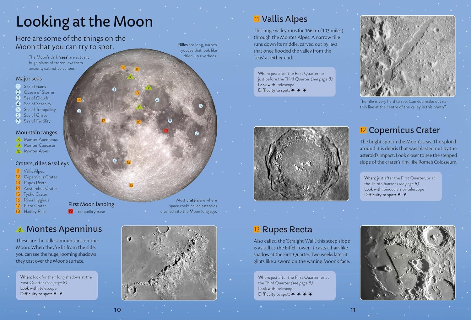 Spotter's Guides: Night Sky
