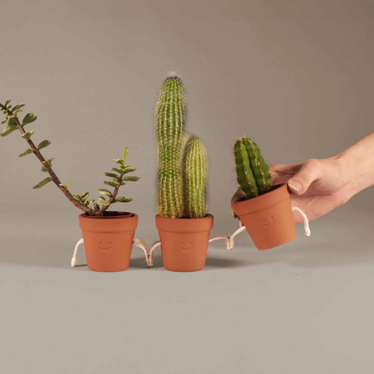 Hand-Holding Succulent Pots
