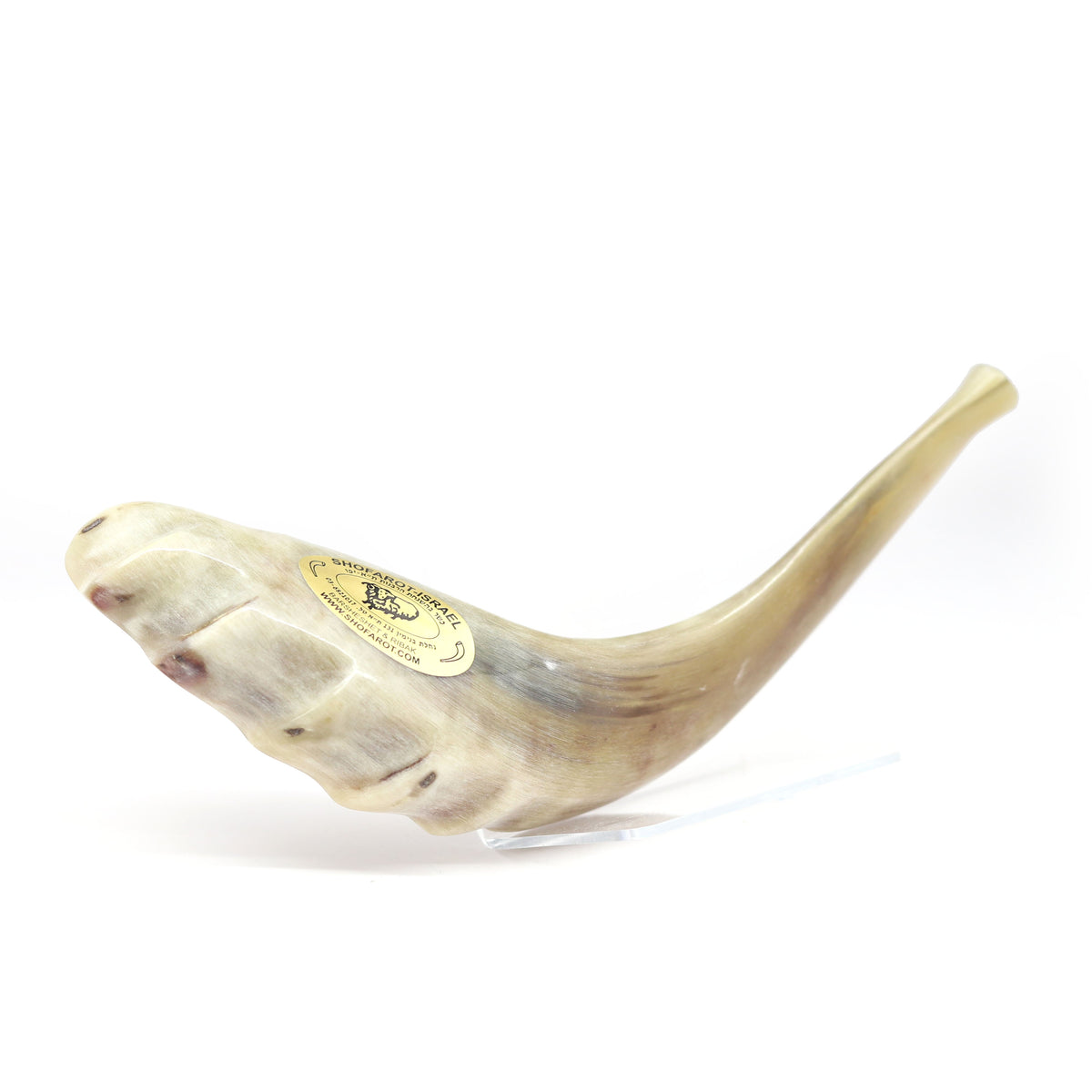 Shofar