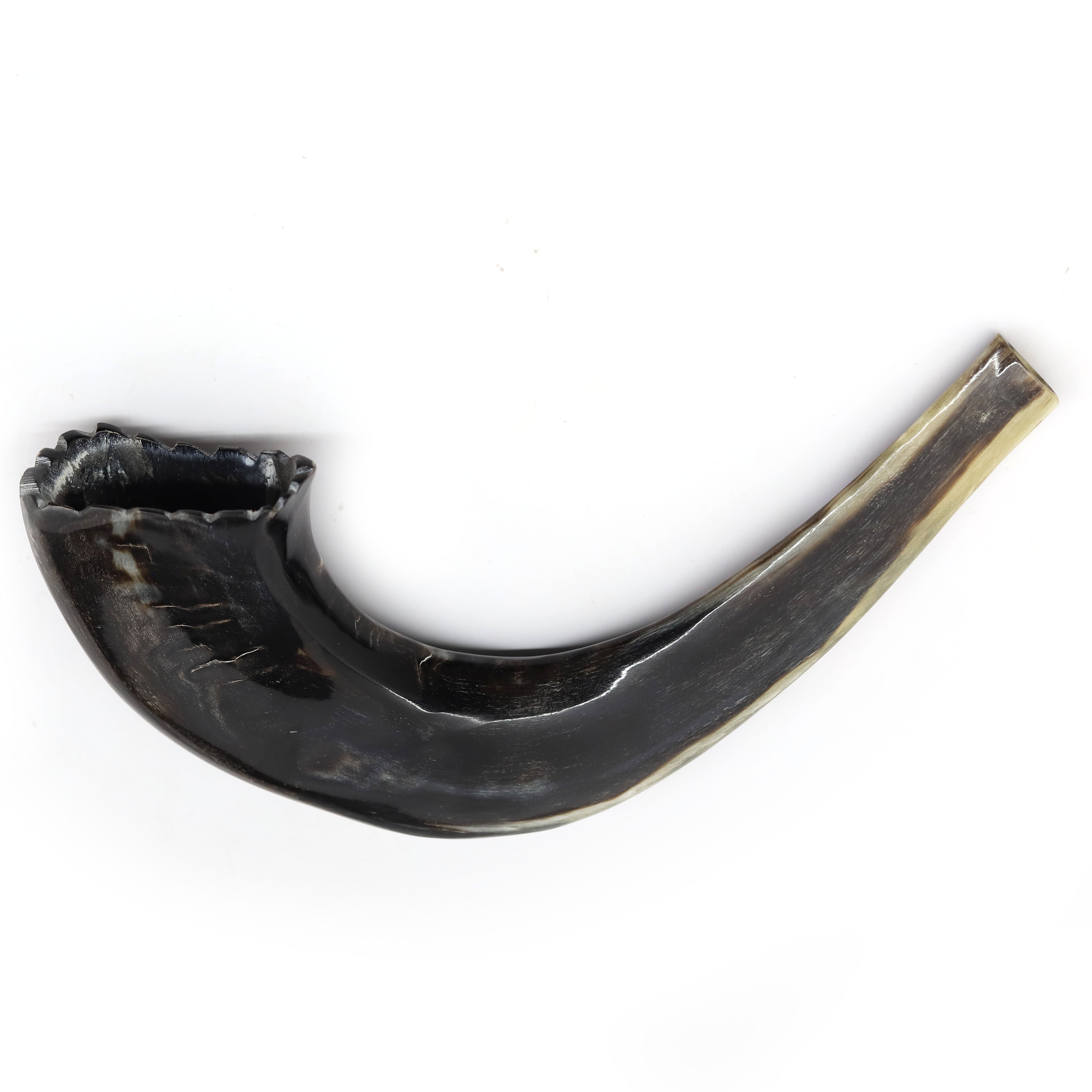 Moroccan Shofar