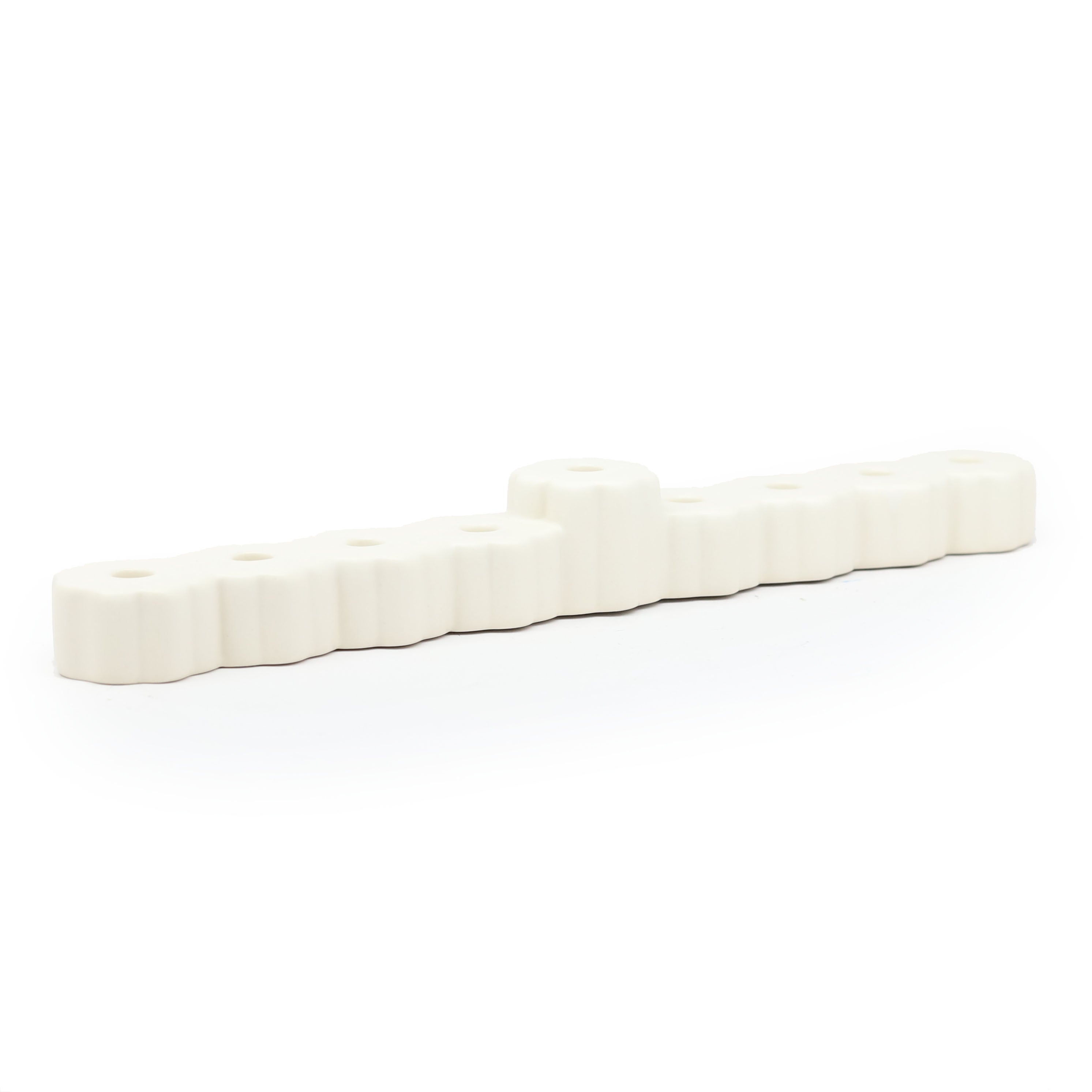 Fleur Hanukkiah