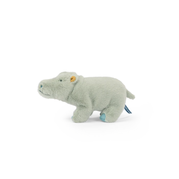 Small Hippopotamus