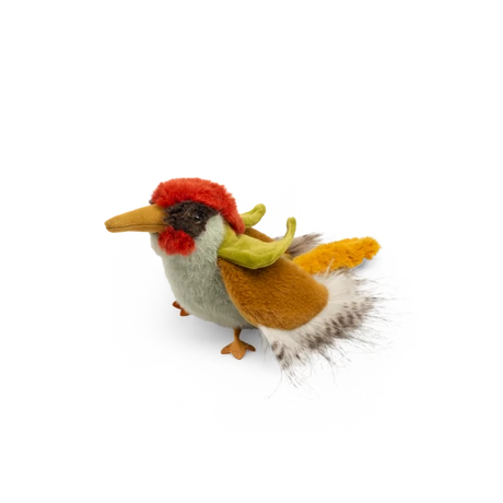 Green Woodpecker