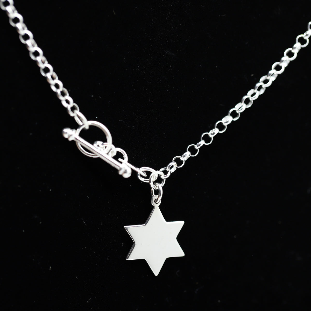 Star of David on Toggle Chain Necklace