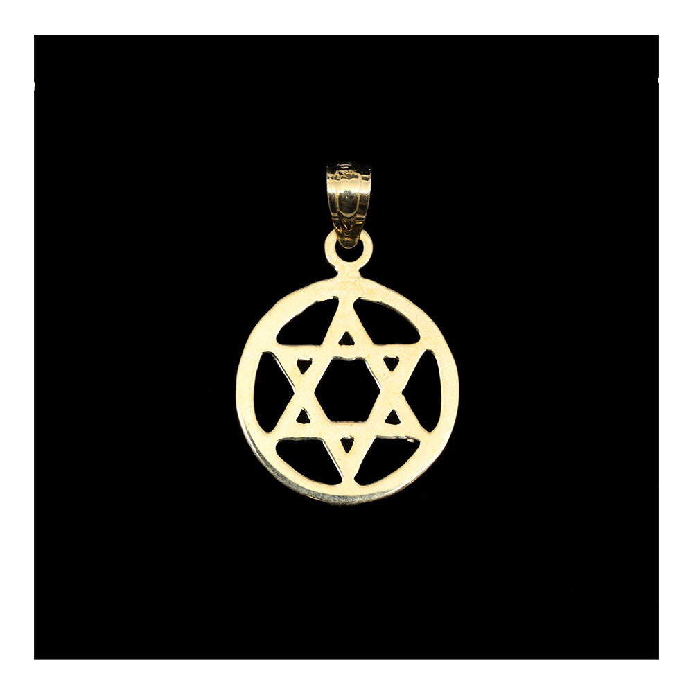 14K Gold Encricled Star of David