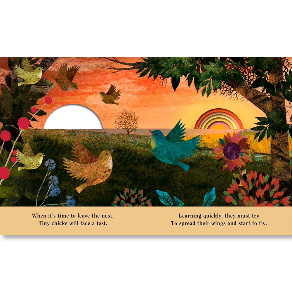 Family: A Peek-Through Picture Book