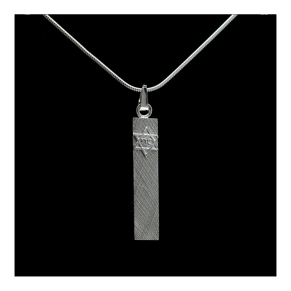 Mezuzah with Star of David Necklace