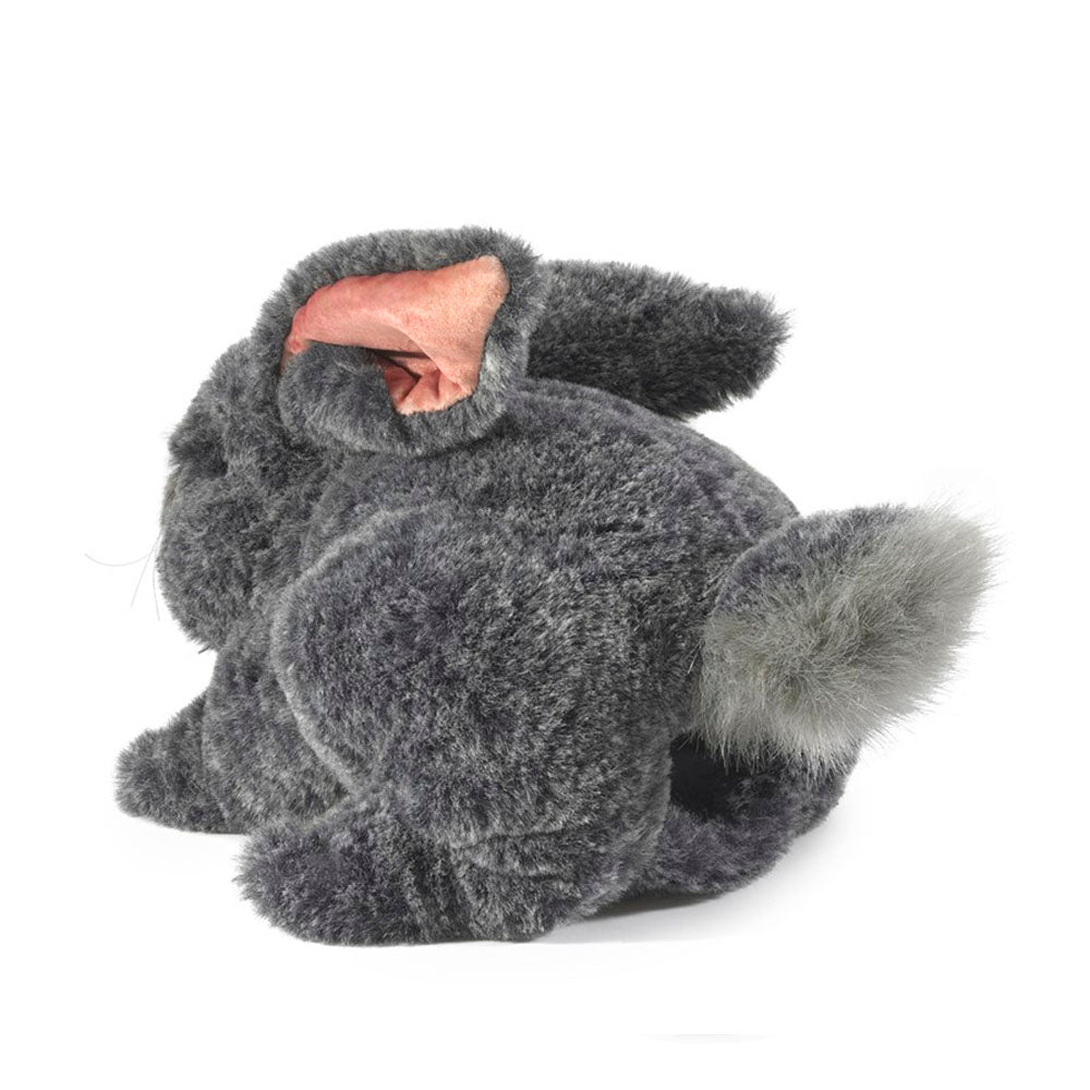 Gray Bunny Rabbit