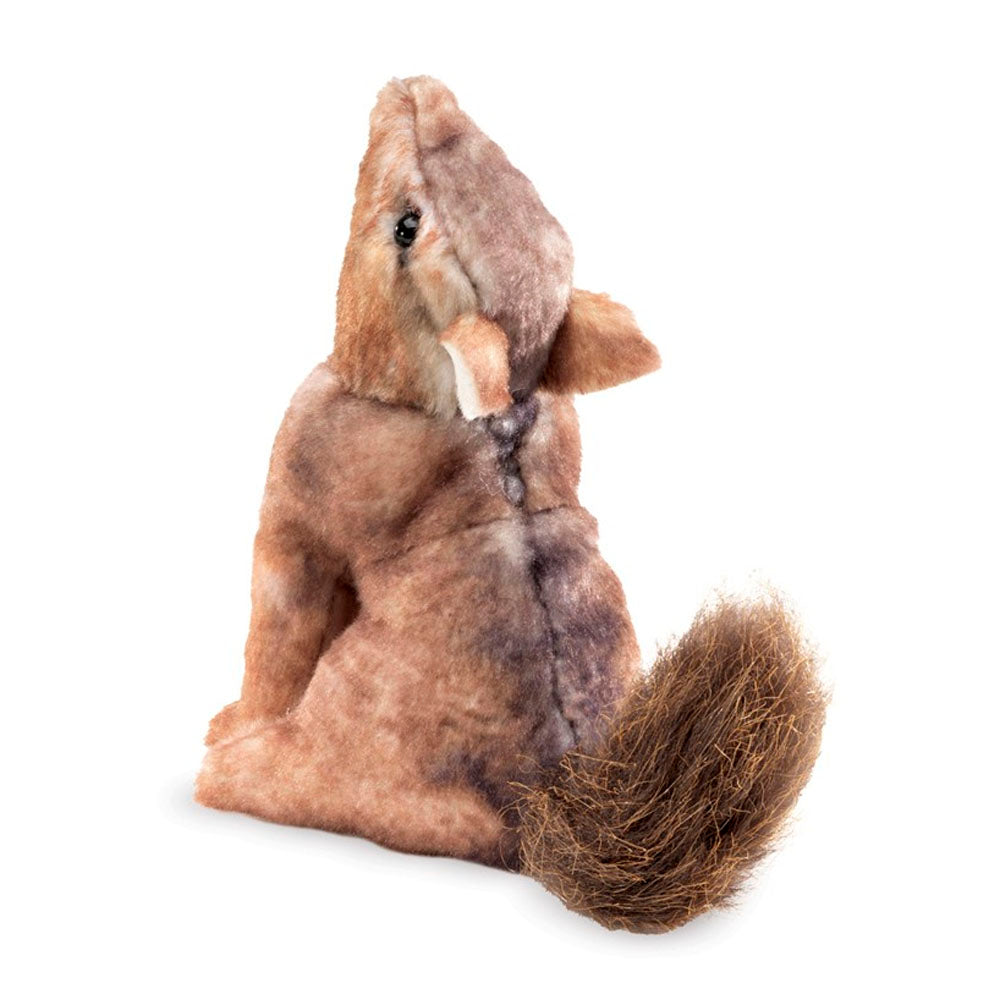 Mini Coyote