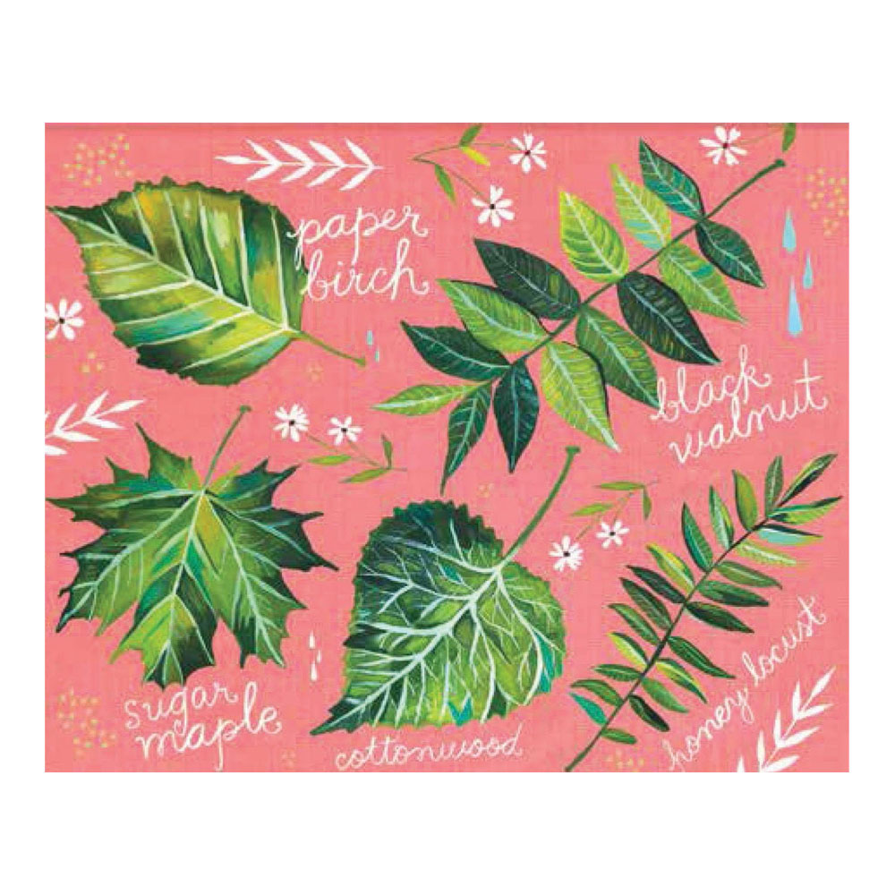 With Love, Adventure, and Wildflowers Notes: 20 Different Notecards & Envelopes