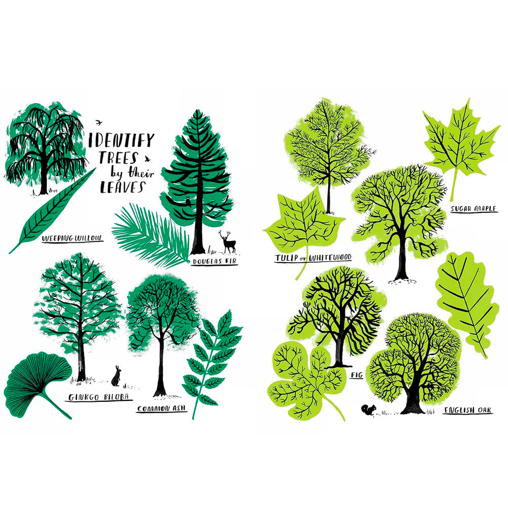 Hello Nature Activity Book: Explore, Draw, Color, and Discover the Great Outdoors