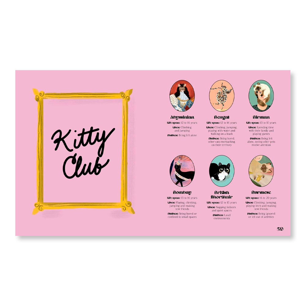 Catphabet: A whimsical celebration of our favourite feline friends, for fans of Grumpy Cat and What Cats Want