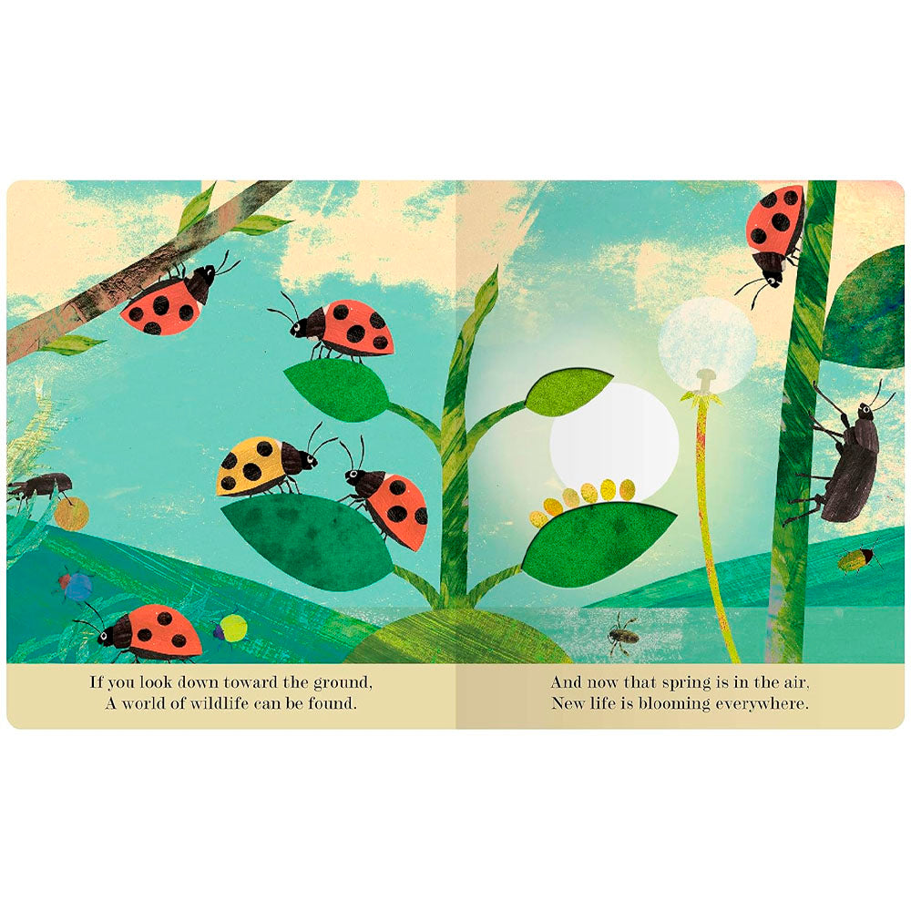 Bugs: A Peek-Through Picture Book