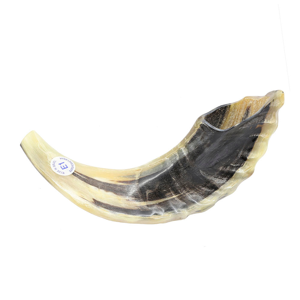 Yemenite Shofar