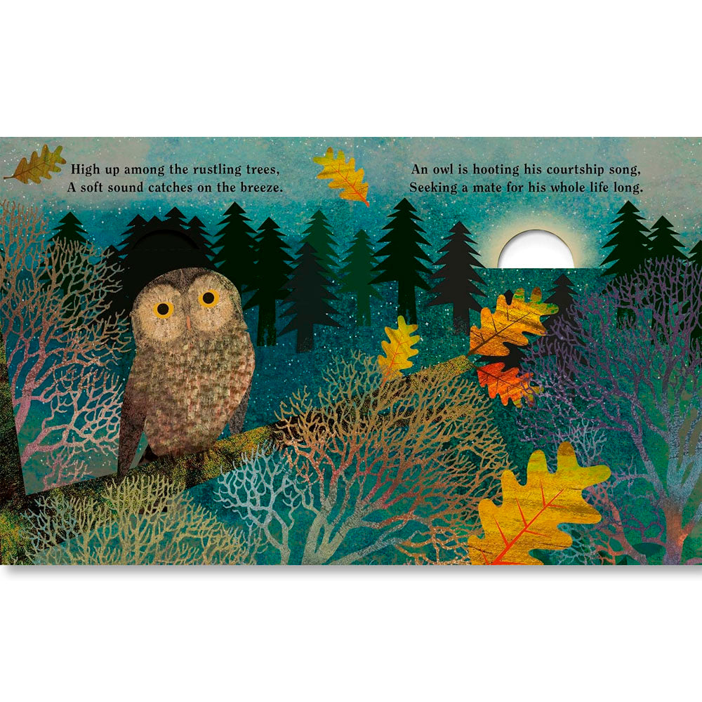 Family: A Peek-Through Picture Book