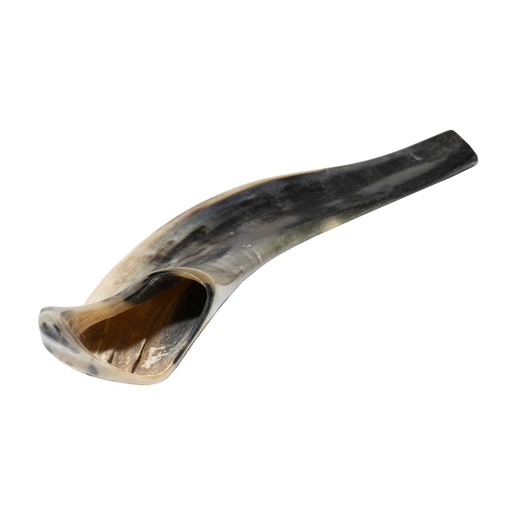 Yemenite Shofar