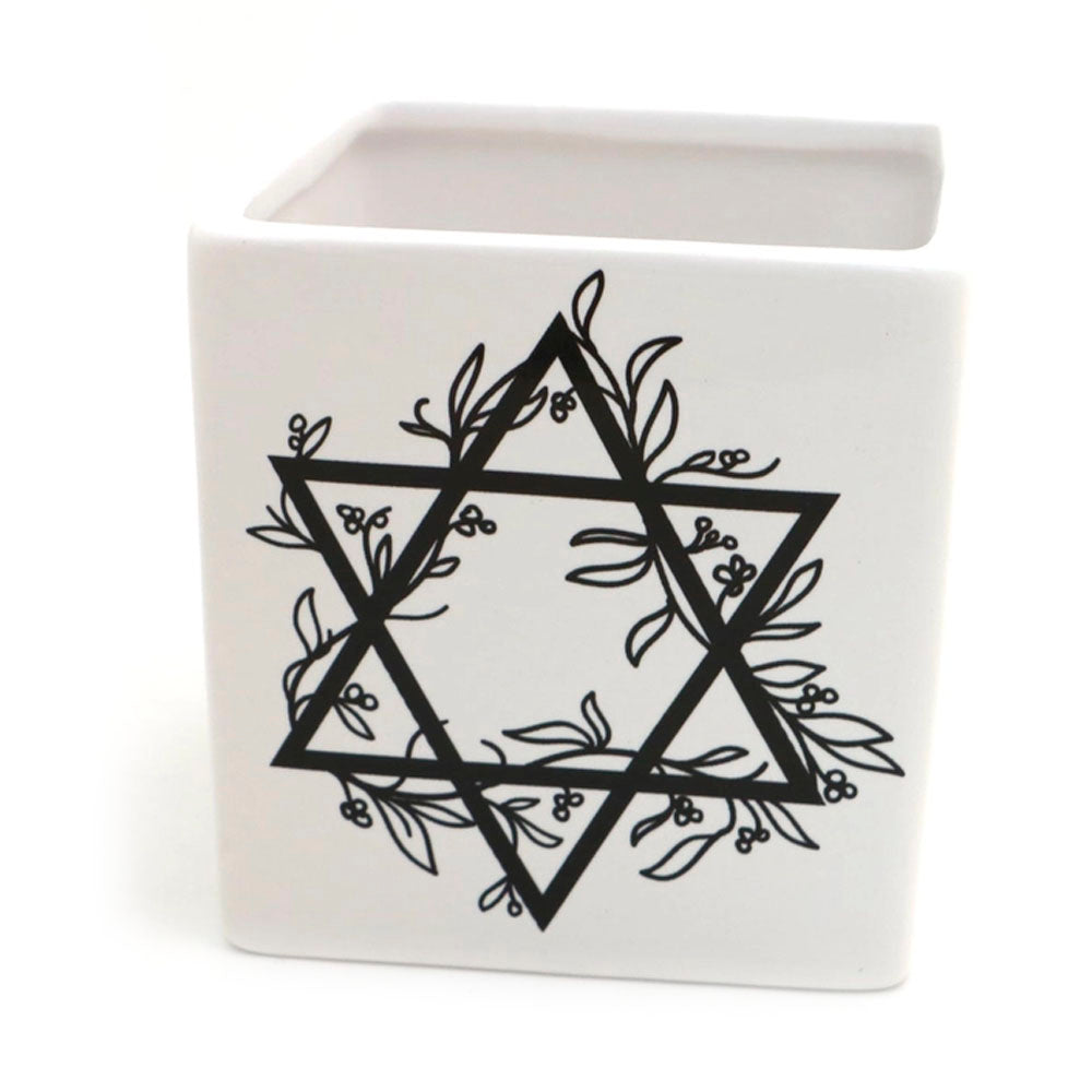 Star of David Planter