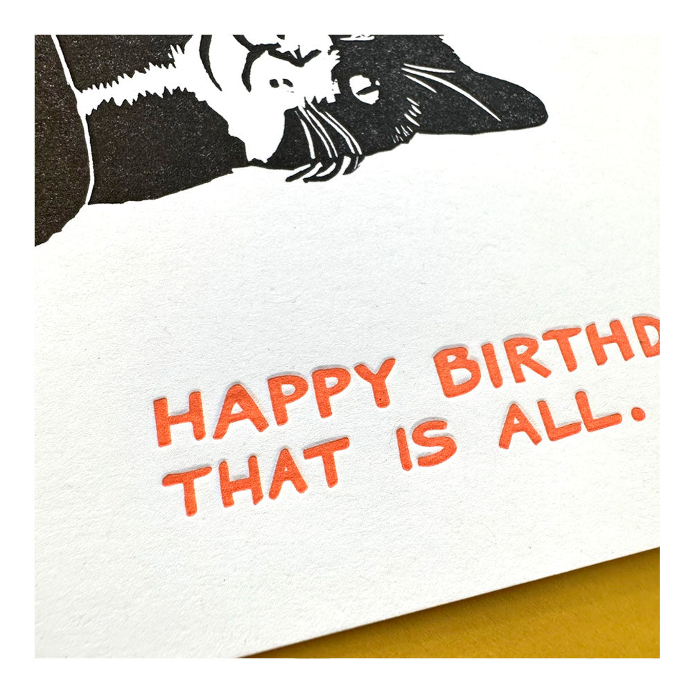 Cat Birthday Greeting Card