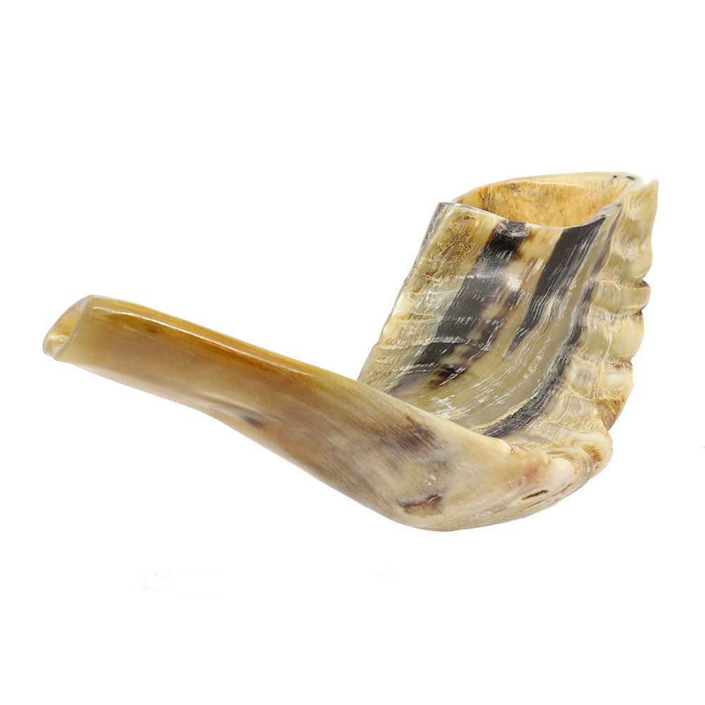 Yemenite Shofar