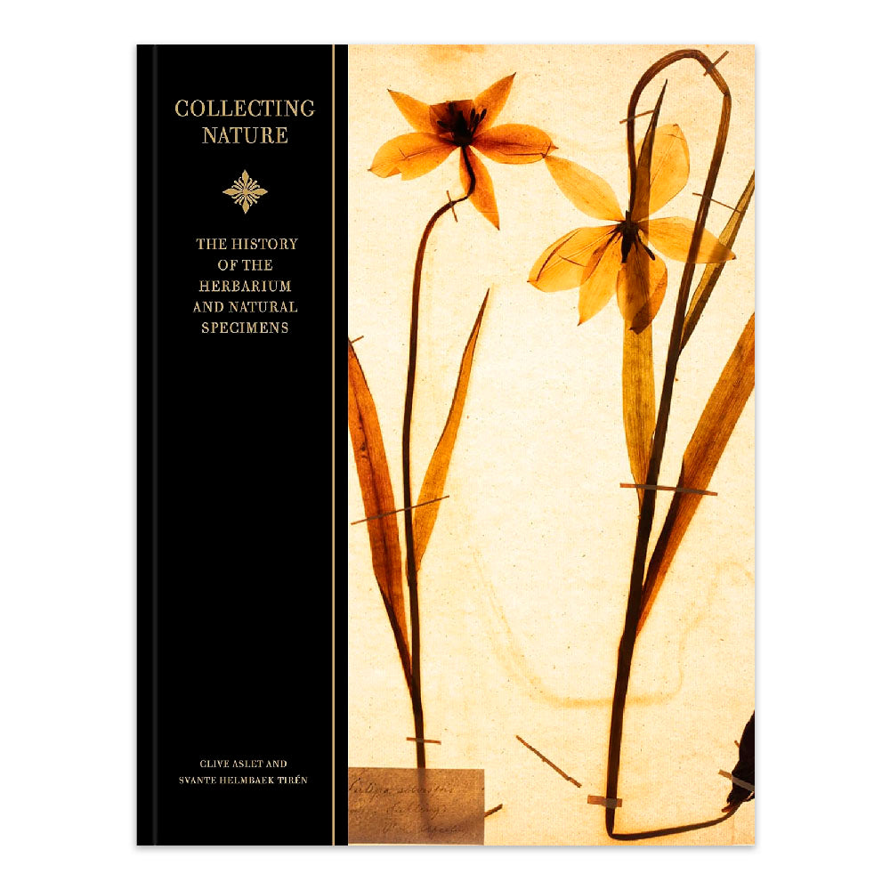 Collecting Nature: The History of the Herbarium and Natural Specimens