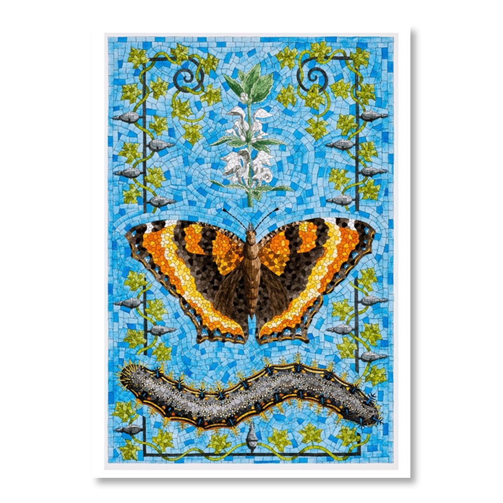 David Cohen: Butterflies Boxed Notecard Assortment