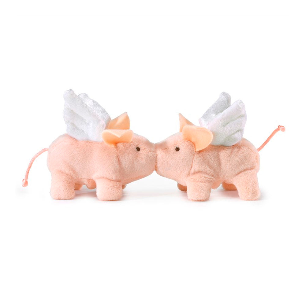 Winged Mini Piglet