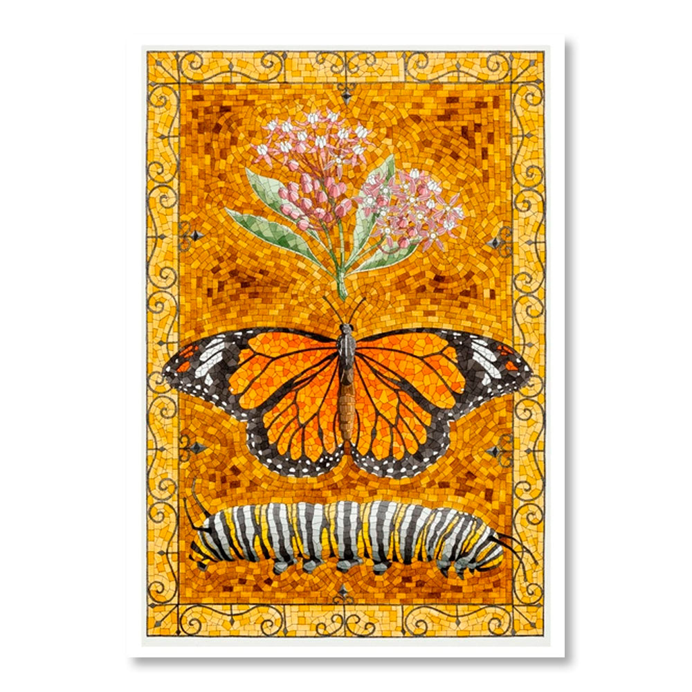David Cohen: Butterflies Boxed Notecard Assortment