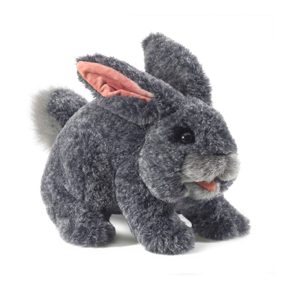 Gray Bunny Rabbit