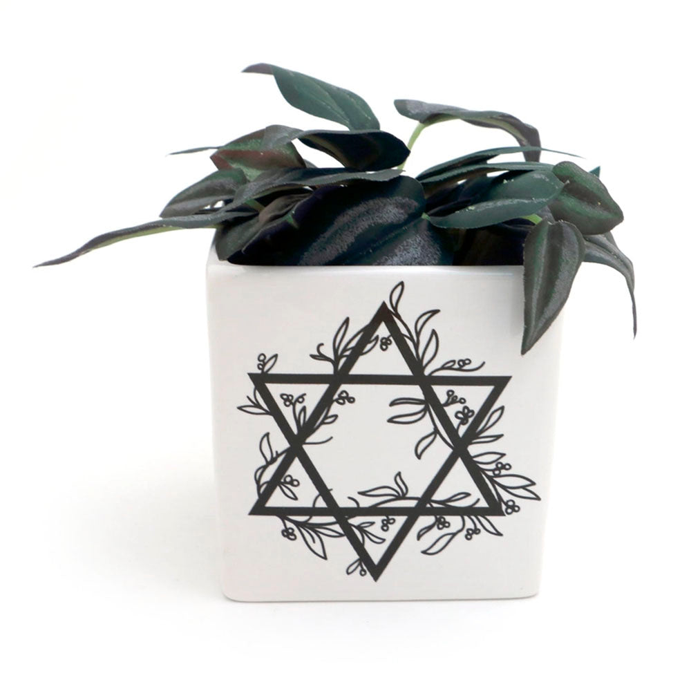 Star of David Planter