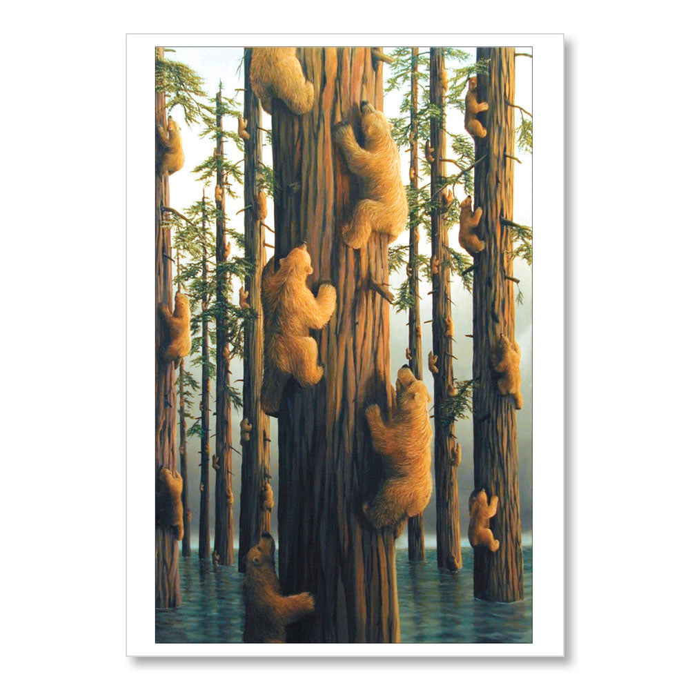 Bears By Bissell Boxed Notecard Assortment