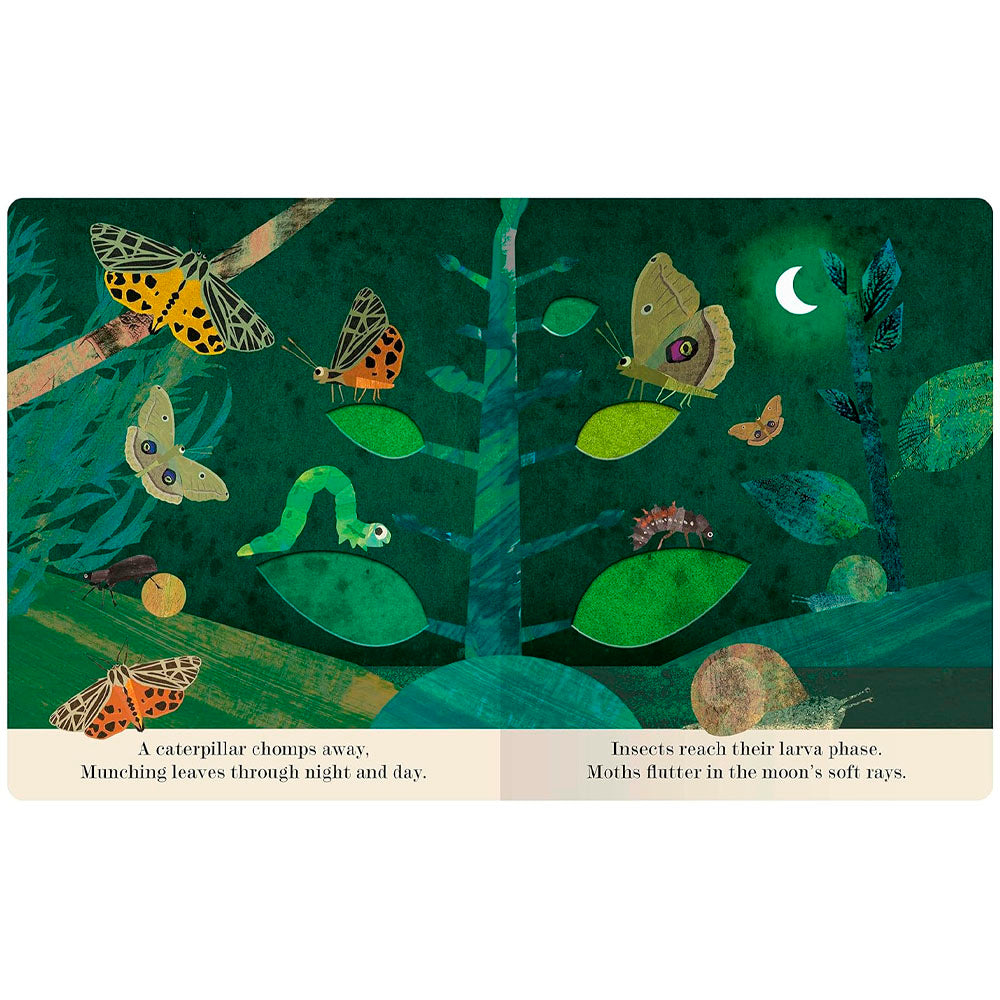 Bugs: A Peek-Through Picture Book