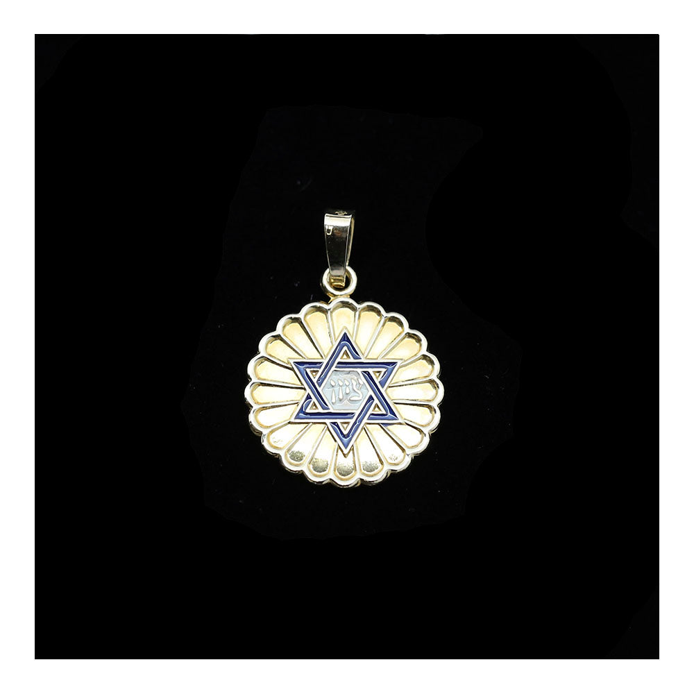 Medallion 14K Gold and Enamel Star of David