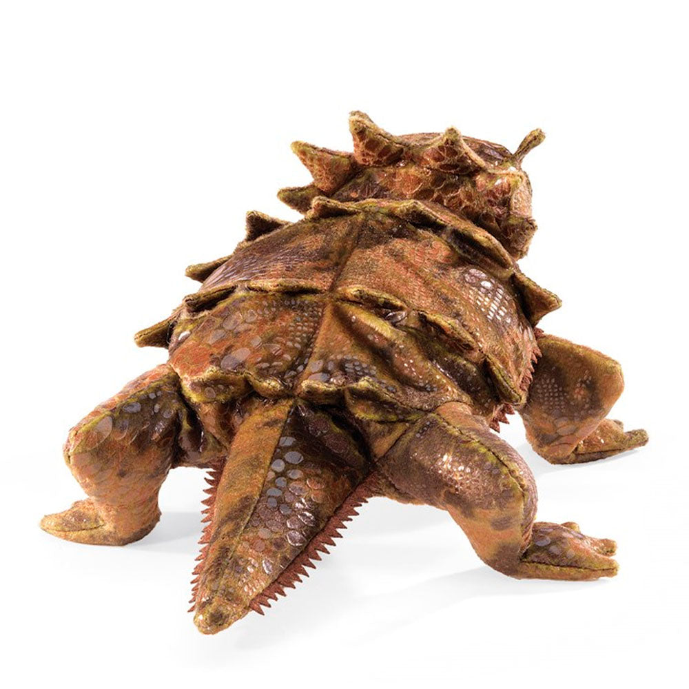 Horned Lizard