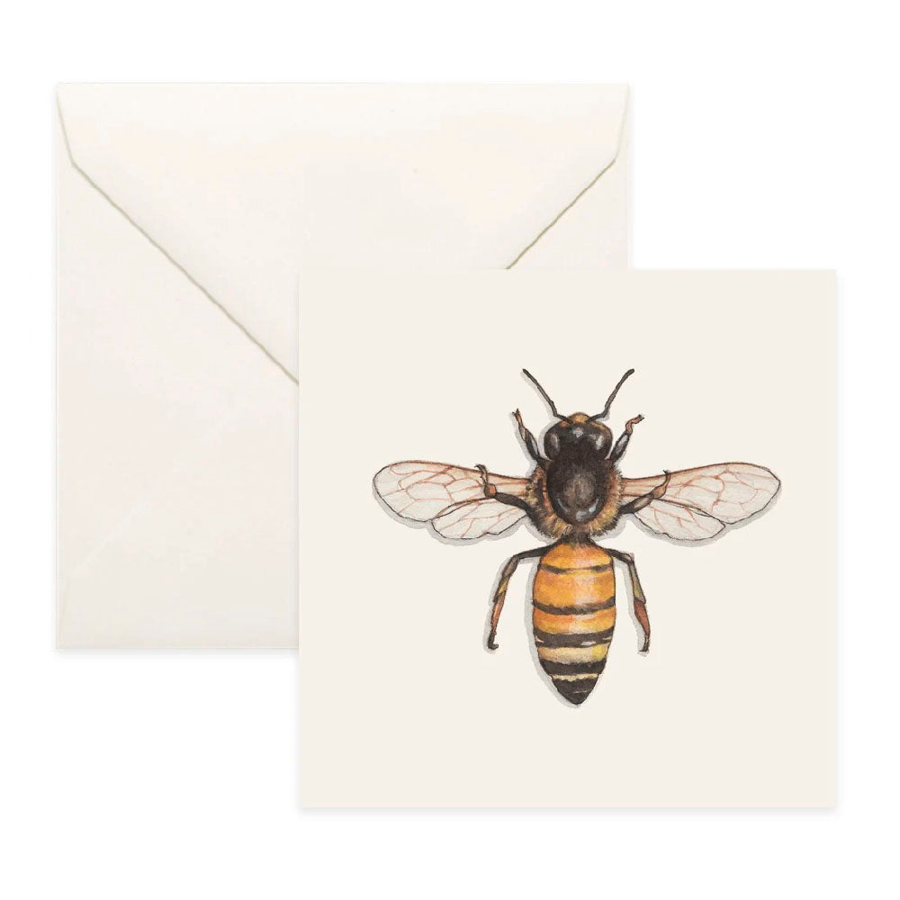 Honey Bee Greeting Card