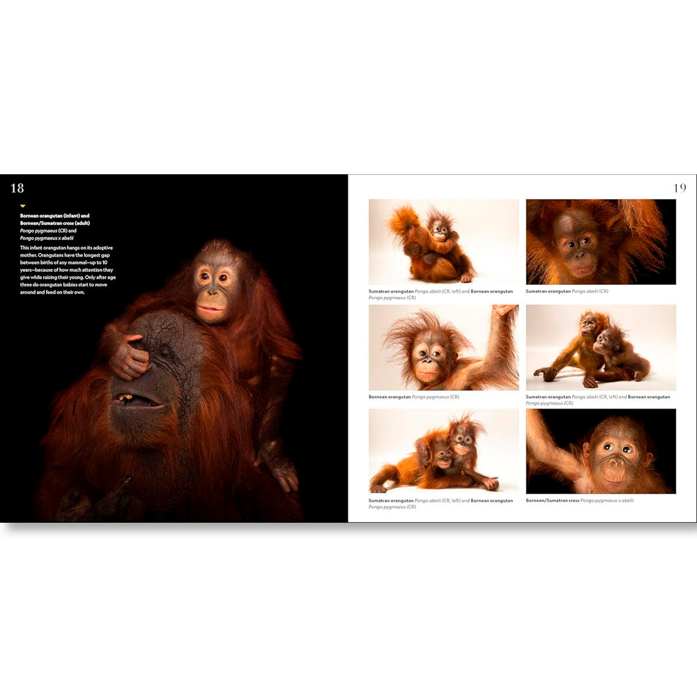 National Geographic Photo Ark Babies: Growing Up in the Animal World