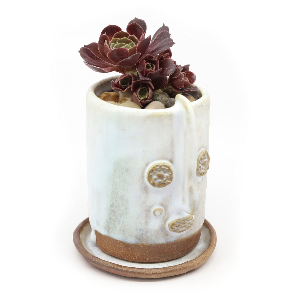 Ceramic Face Planter